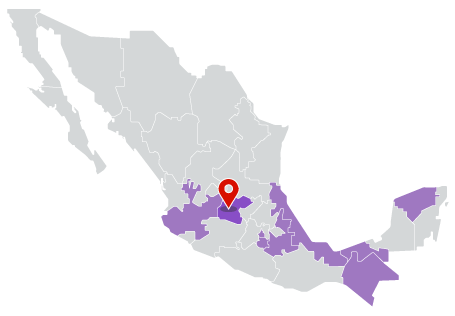 Eleccion Guanajuato