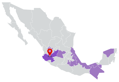 Eleccion Jalisco