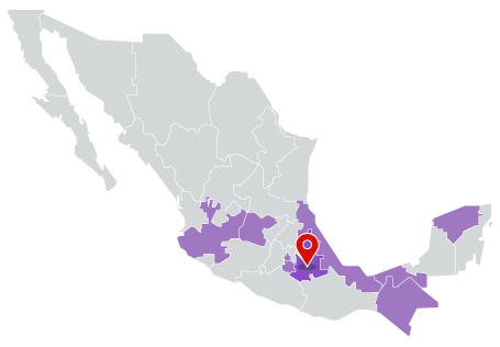 Eleccion Puebla