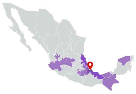Eleccion Veracruz