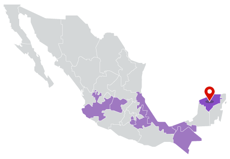 Eleccion Yucatán