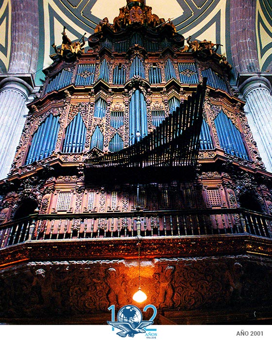 Mochilazo en el tiempo, Los órganos de la Catedral