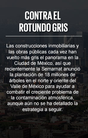 Reino