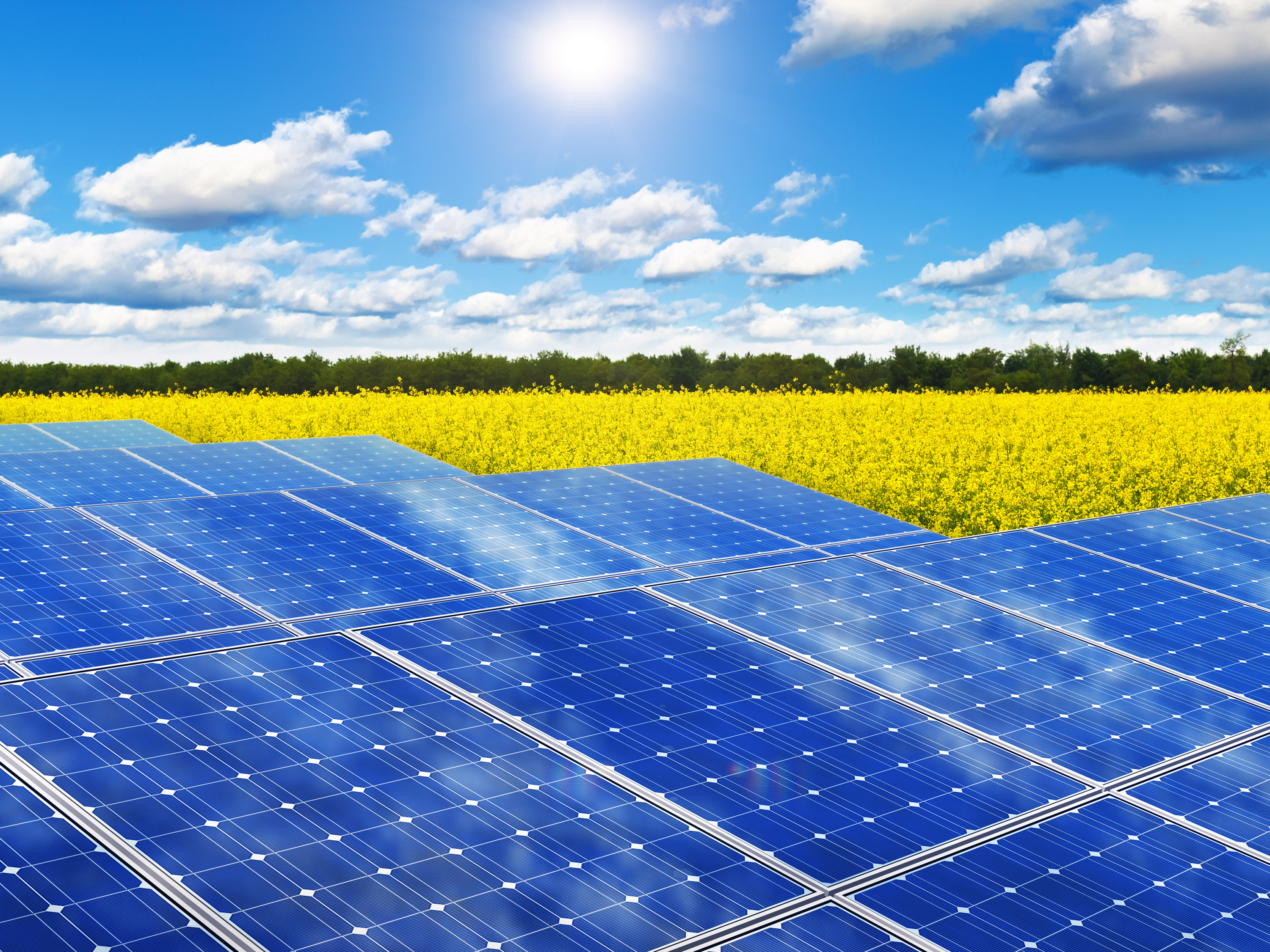 Солнечная панель invertor monitoring systems. Solar data. 22 year solar cycle. Графана мониторинг. Тонкопленочные солнечные батареи.