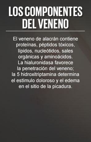 Reino