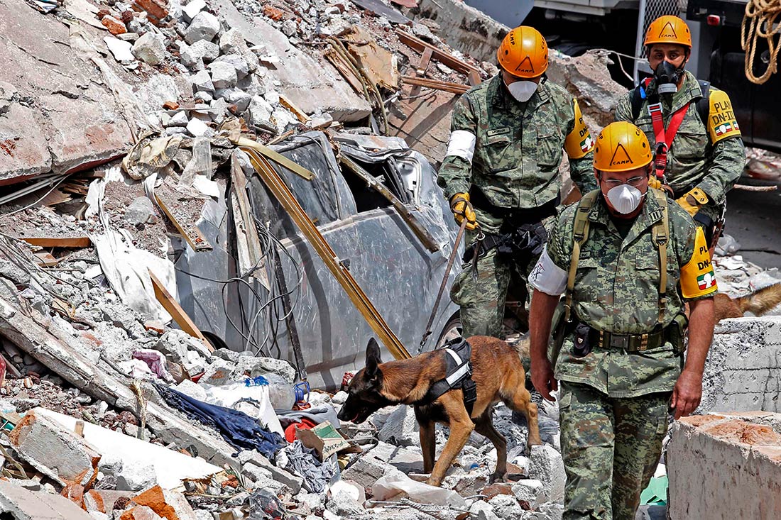 El Universal Sismo 19/9 Las imágenes de la tragedia El Universal Sismo 19/9 Las imágenes de la tragedia