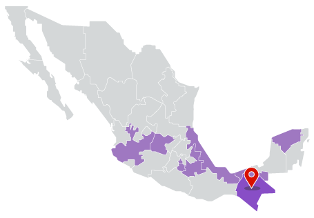 Eleccion Chiapas