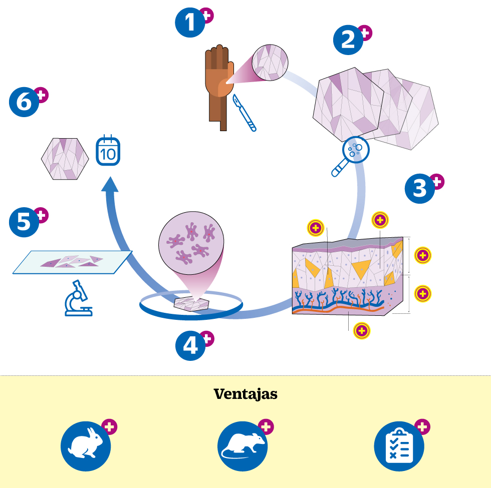 infografia