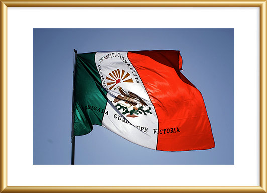 Bandera Constitucionalista Brigada Guadalupe Victoria