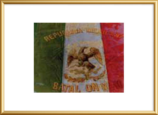 Bandera del Batallón No. 19.