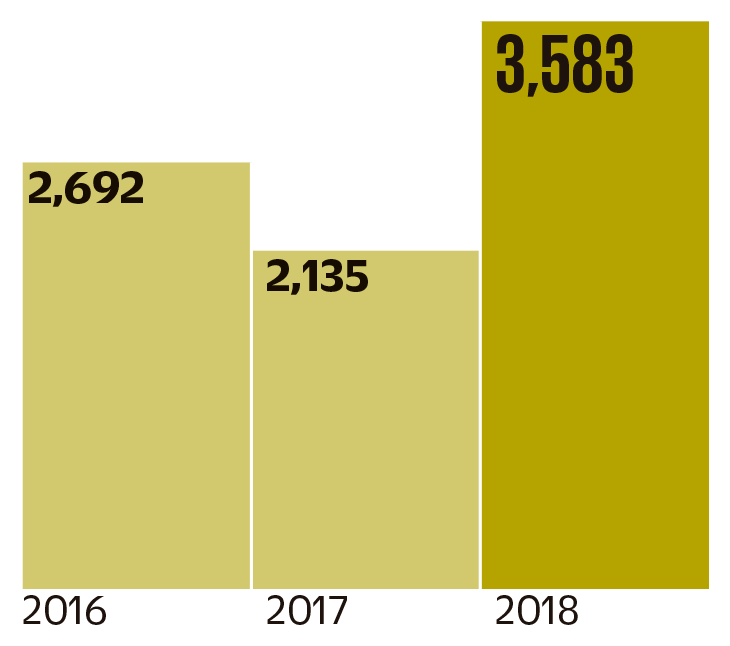 denuncias por año