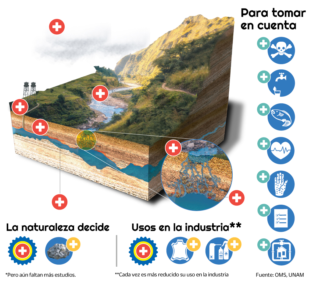 infografía - Mitos y realidades del arsénico