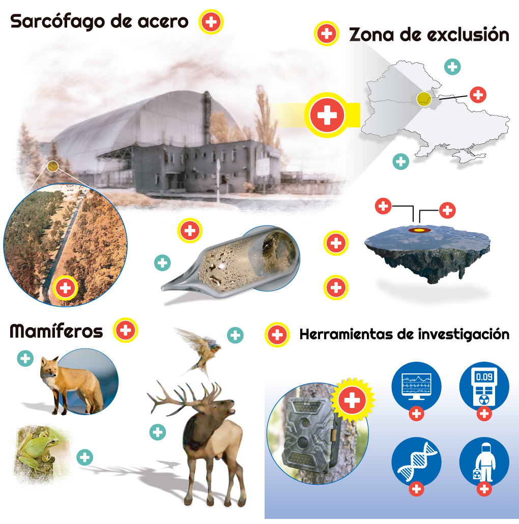 infografía - Animales de Chernobyl