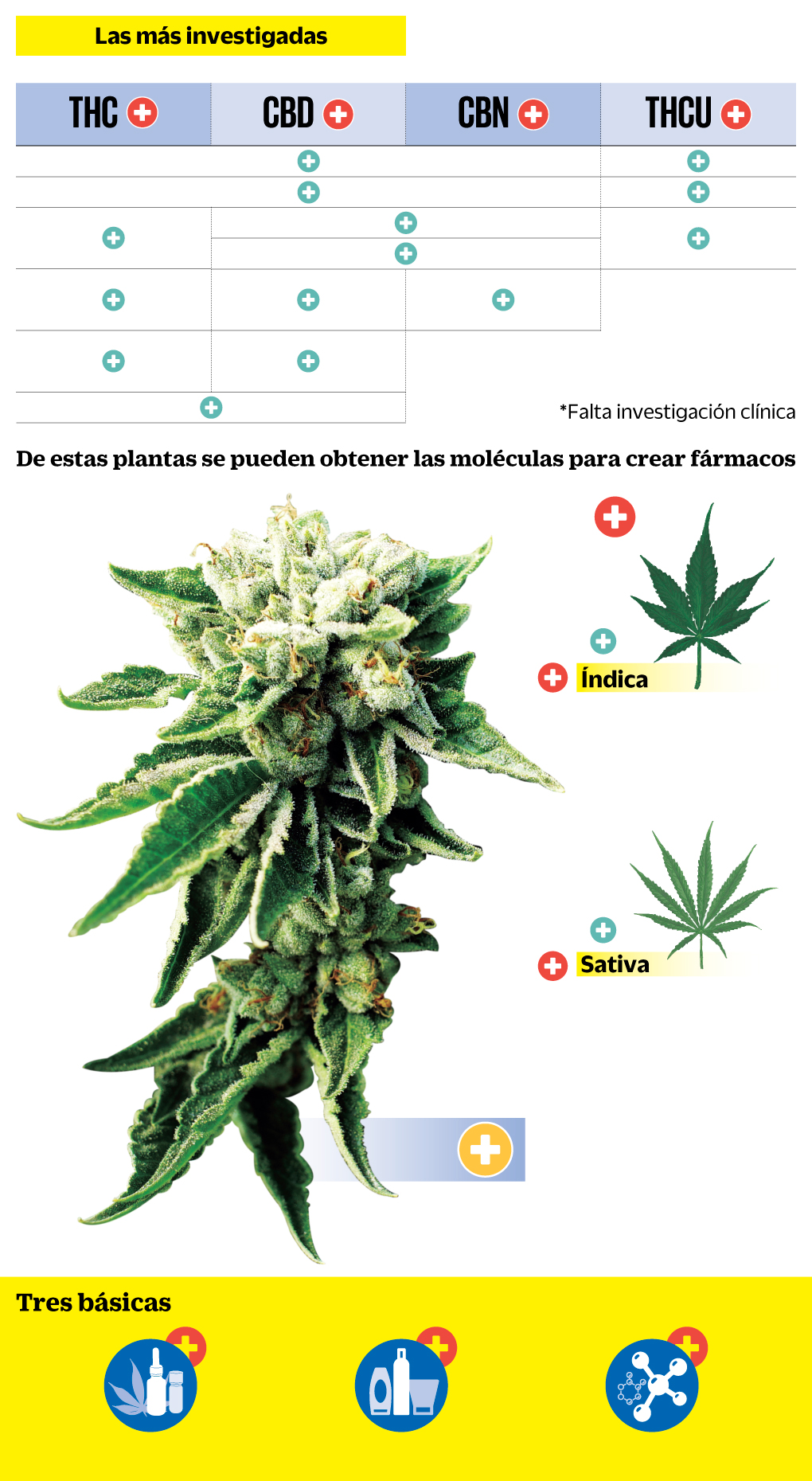 infografía - marihuana medicinal