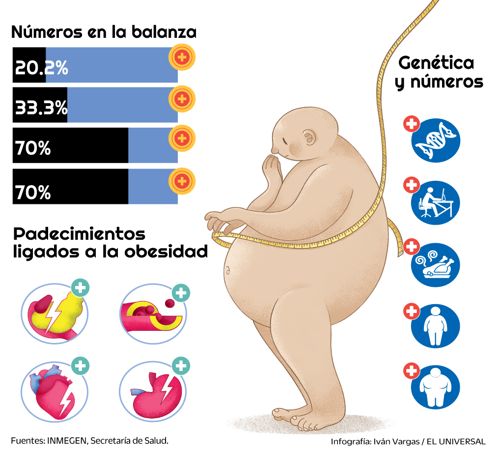 infografía - Genes y obesidad