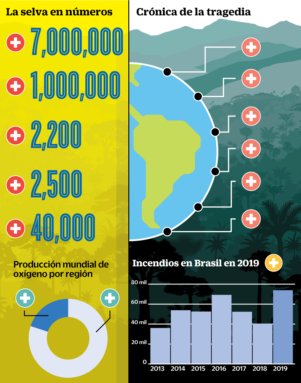 infografía - Amazonas