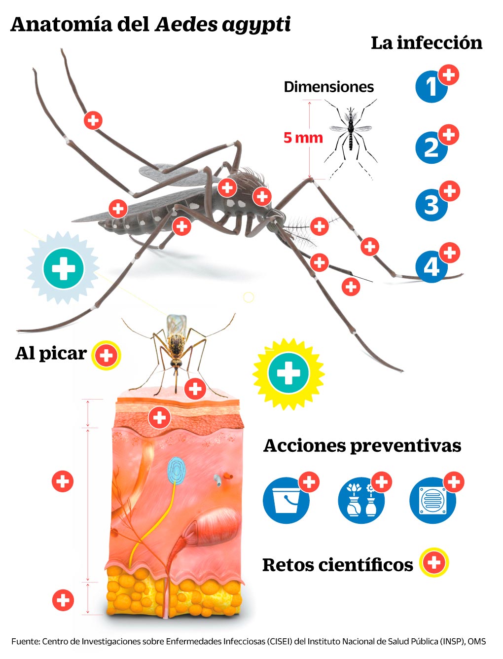 infografía - Mosquitos