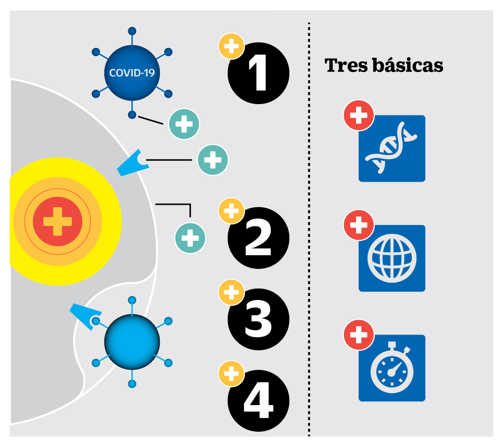 infografía - COVID-19