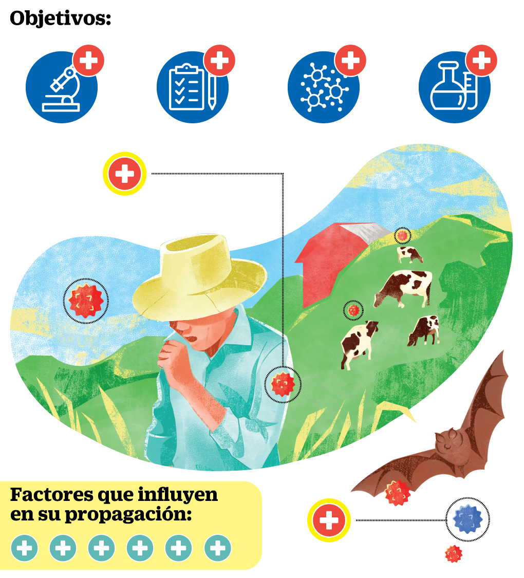 infografía - Zoonosís