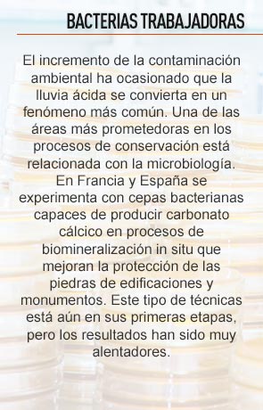 Tesoros arqueológicos