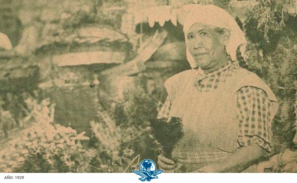 Mochilazo en el tiempo, Mujeres hierberas