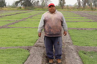 Así como su consumo reúne a las familias, producirlos también es el resultado de un linaje tradicional que ha pasado de generación en generación en el pueblo de San Andrés Mixquic