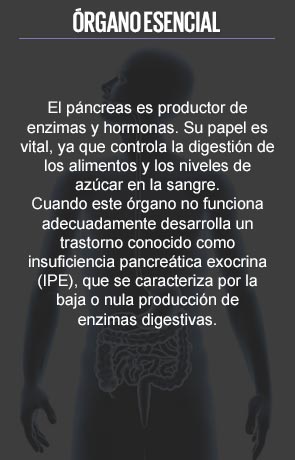 Tesoros arqueológicos